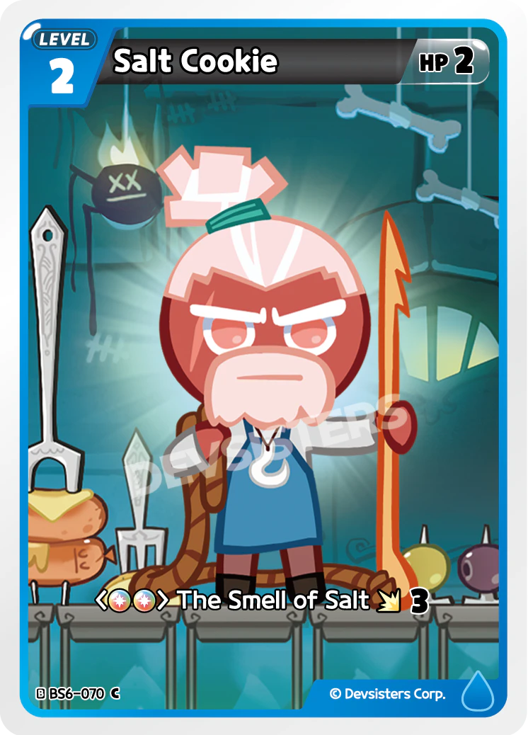 Salt Cookie [BS6-070]