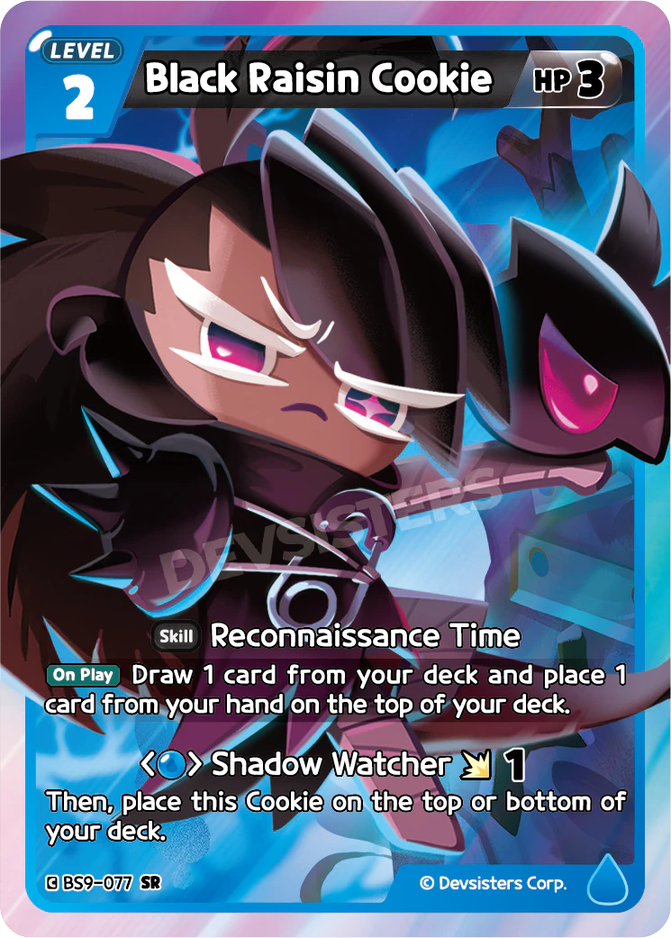 Black Raisin Cookie [BS9-077]