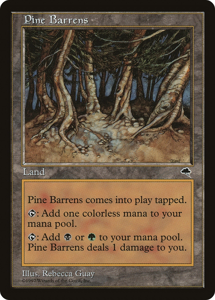 Pine Barrens